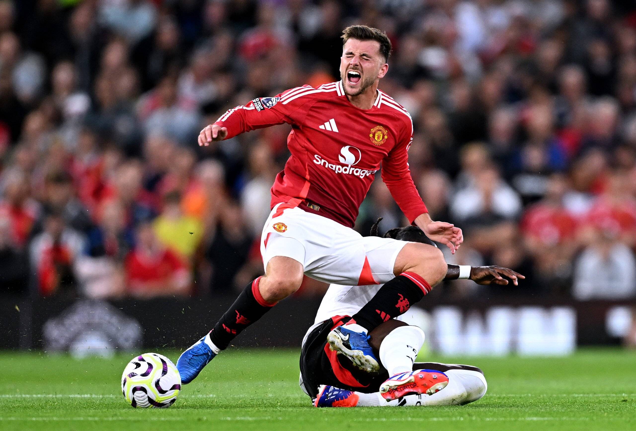 九游娱乐-布莱顿训练开放日，官宣日扳平良机引观众欢呼，德甲在即，轮换策略被讨论的简单介绍