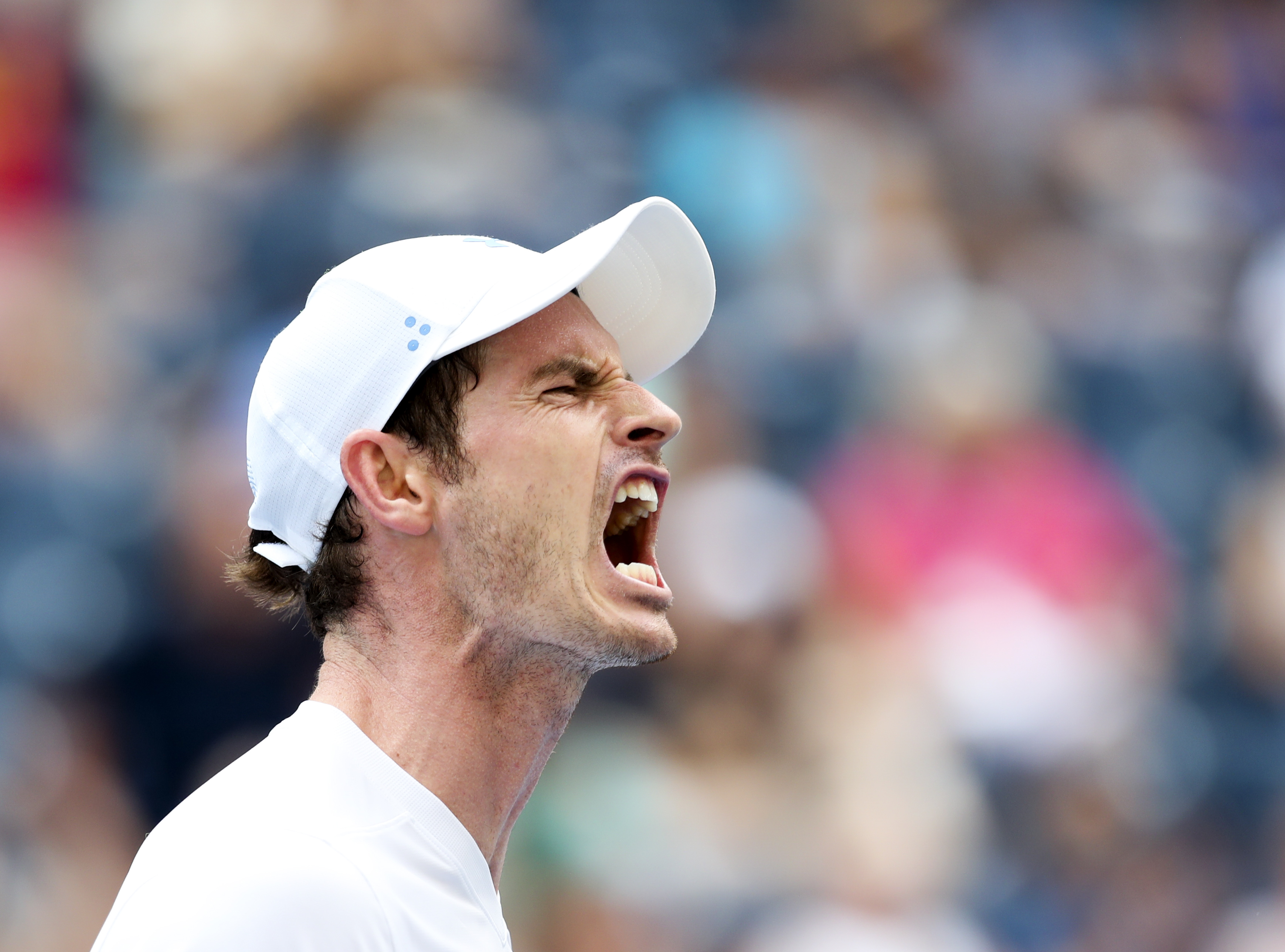 九游-关于穆雷迎来二十赛季高光表现，MAD球迷沸腾！的信息